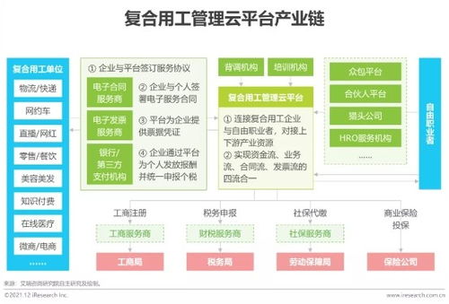 2021年博尔捷数字科技行业研究报告正式发布 数字技术服务新趋势与未来展望